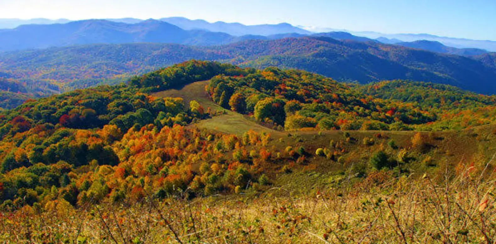 Madison County, NC roof replacement service area — Southern Star Roofing